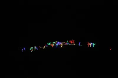 DSC_6721 (Large).JPG